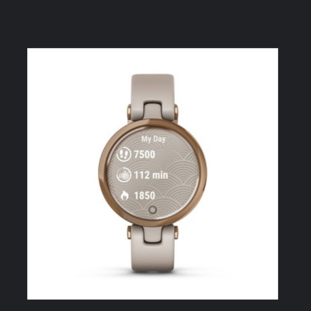 Garmin Lily Watch
